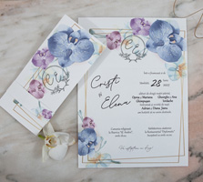 catalog invitatii polen